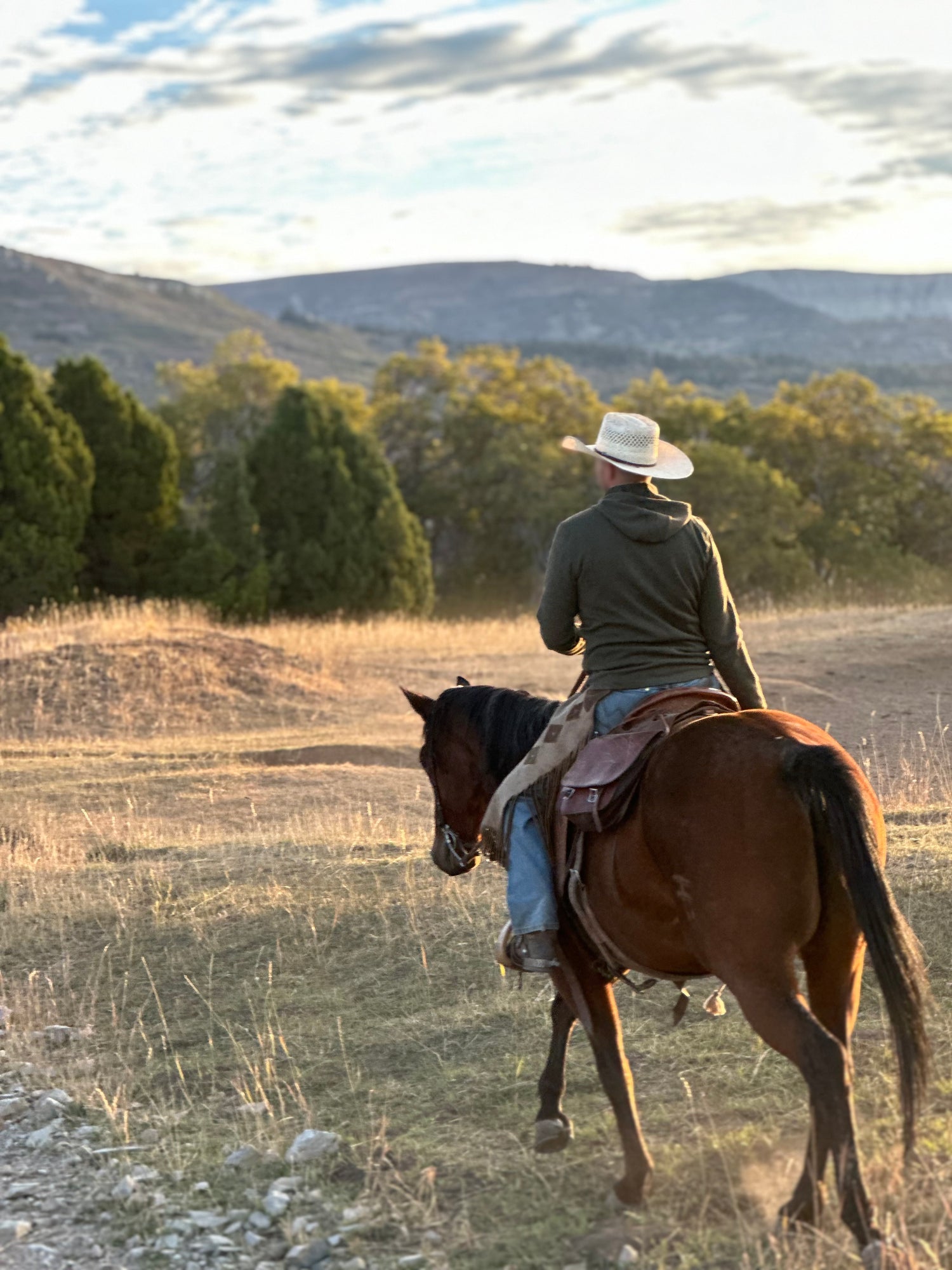 Cowboy on his horse in southern utah on a angus beef grazing land.